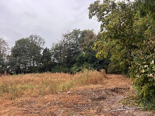 Grond op zichtlocatie langs de N43 te Waregem