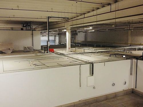 VERHUURD: Voedingsgeschikt bedrijfsgebouw langs de N60 te Oudenaarde