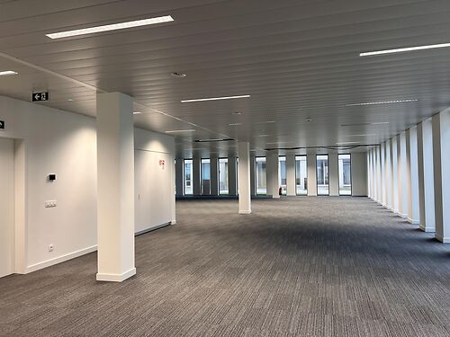Lichtrijk kantoor net buiten het centrum van Gent