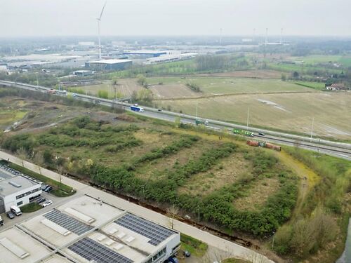 Build to suit opportuniteit langs de A12 te Willebroek 