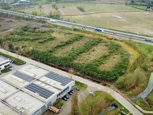 Build to suit opportuniteit langs de A12 te Willebroek 