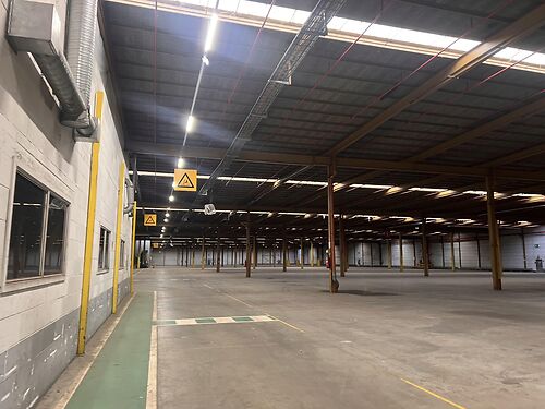 Magazijn te Wielsbeke geschikt voor opslag/logistiek/productie