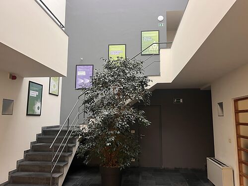 Kantoren vlakbij de R8 te Gullegem